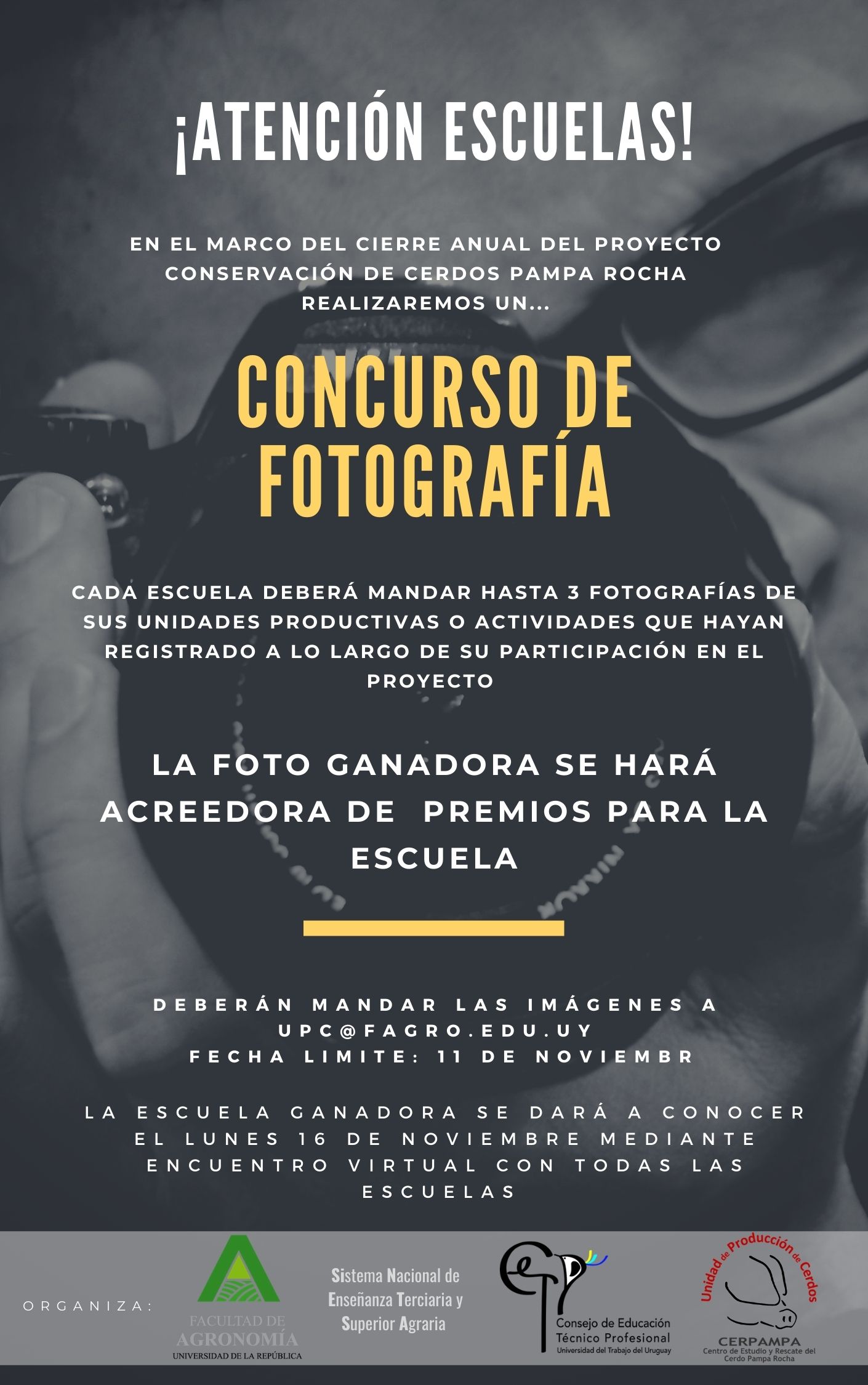 Concurso Fotos SINETSA Proyecto Pampa