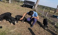 Estudiante con animales PR - Paso de los Carros