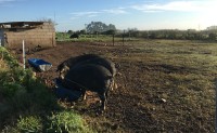 Unidad Productiva EA Rincón del Cerro