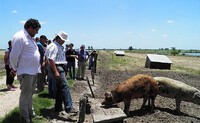 recorrida