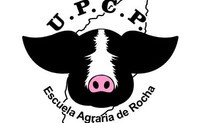 Logo UP ROCHA